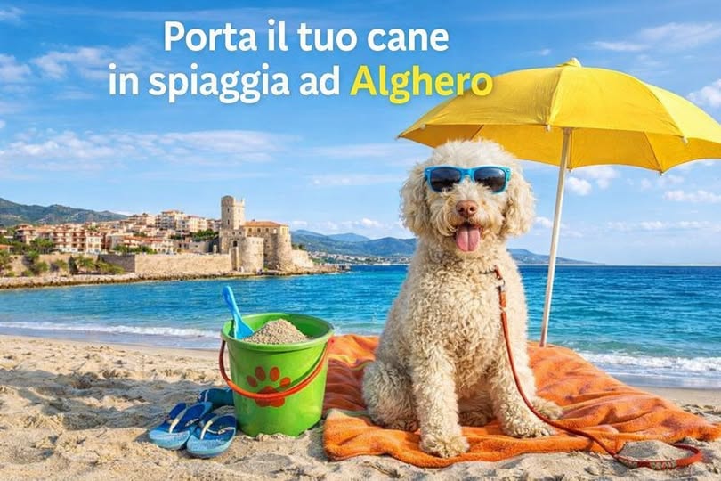 Dog-friendly beaches in Alghero